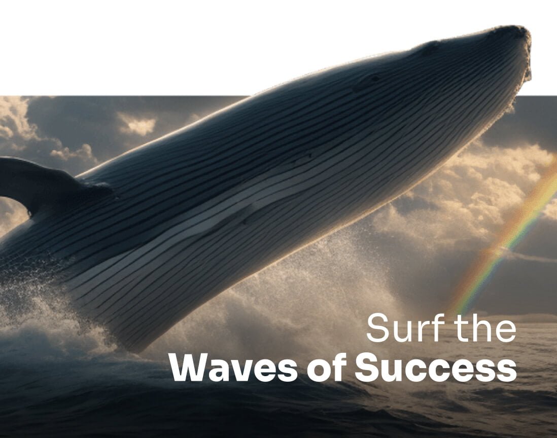 Surf the waves of Success - TGM